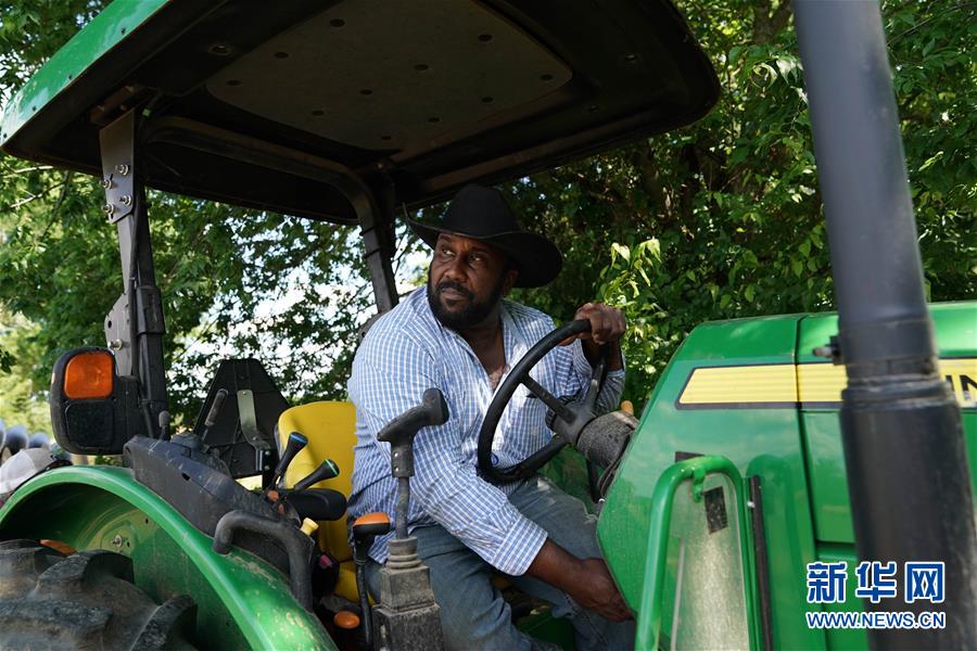 （國際&middot;圖文互動）（3）特寫：播種進入倒計時　美國豆農焦慮加劇