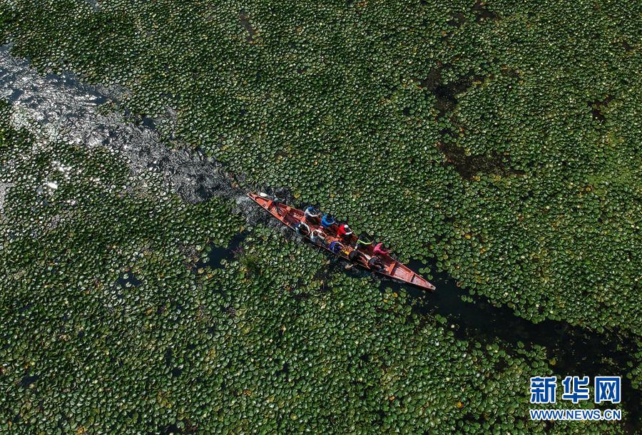 （國(guó)際&middot;年終報(bào)道）（8）2019，精&ldquo;彩&rdquo;紛呈