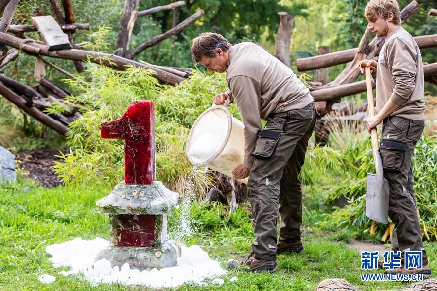 (國(guó)際)(2)德國(guó)柏林動(dòng)物園為大熊貓雙胞胎慶生