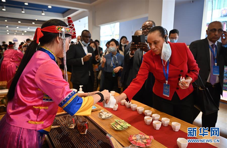 (圖文互動(dòng))(1)“中國減貧成就具有重大的世界意義”——“擺脫貧困與政黨的責(zé)任”國際理論研討會(huì)綜述