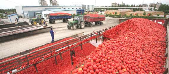 中國推動構(gòu)建共贏、互信、發(fā)展的新絲綢之路