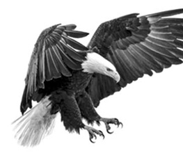 誰(shuí)是世界秩序的真正破壞者？