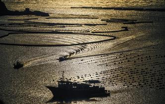 &ldquo;碧海仙山&rdquo;南麂列島的夏日美景