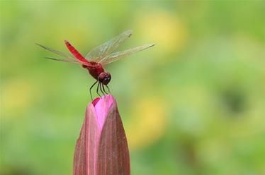 2019，精&ldquo;彩&rdquo;紛呈