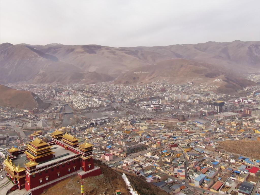 震后11年，玉樹正芳華