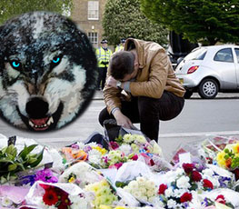 血案頻發(fā) "獨狼"緣何兇猛？