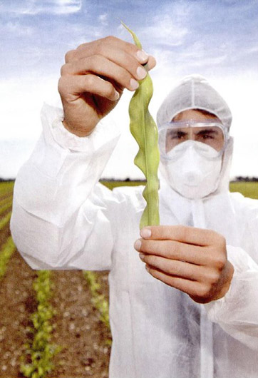 轉基因&ldquo;轉&rdquo;的是什么？